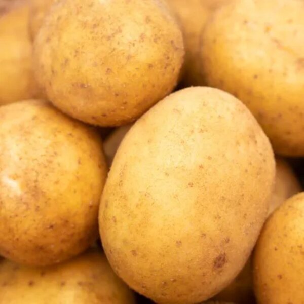 Kartoffeln vorw. festkochend